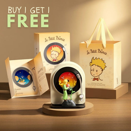 Le Petit Prince Vintage Bluetooth Record Player Speaker™️